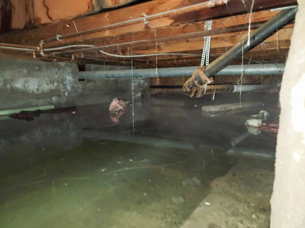 Best Water damage restoration near me  in Fair Lakes, VA