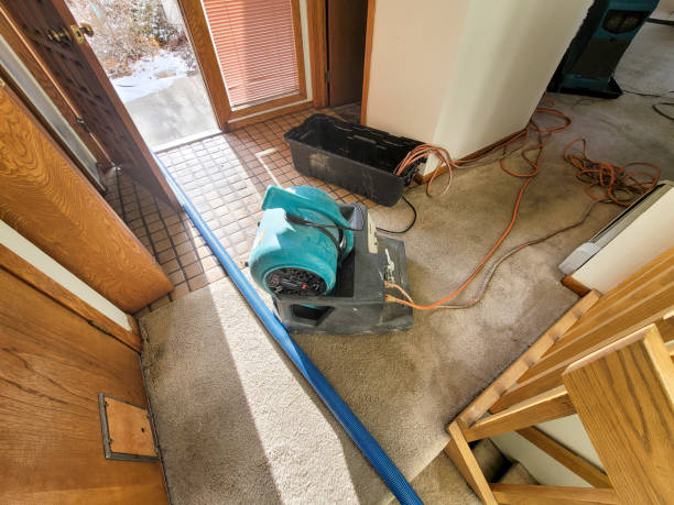 Best 24/7 water damage repair  in Fair Lakes, VA