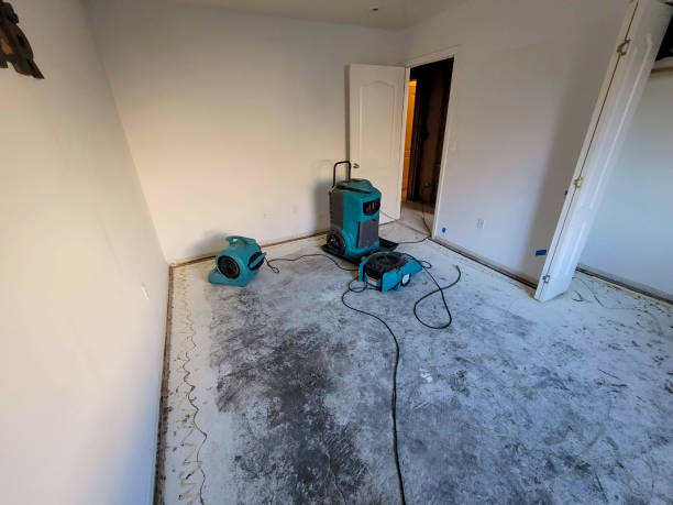 Best Water damage cleanup near me  in Fair Lakes, VA