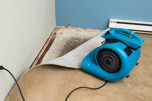 Best Water damage restoration process  in Fair Lakes, VA